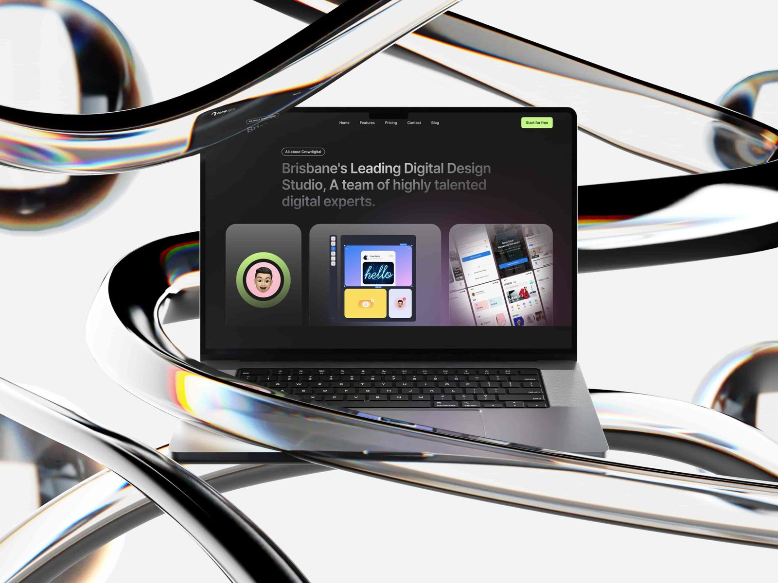 Web Design and Development Services